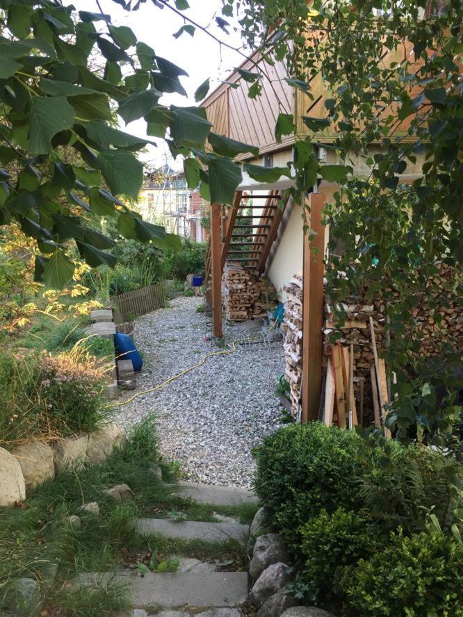 Ferienwohnung Stockrose ميديلهاغن المظهر الخارجي الصورة